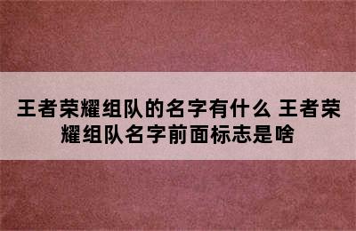 王者荣耀组队的名字有什么 王者荣耀组队名字前面标志是啥